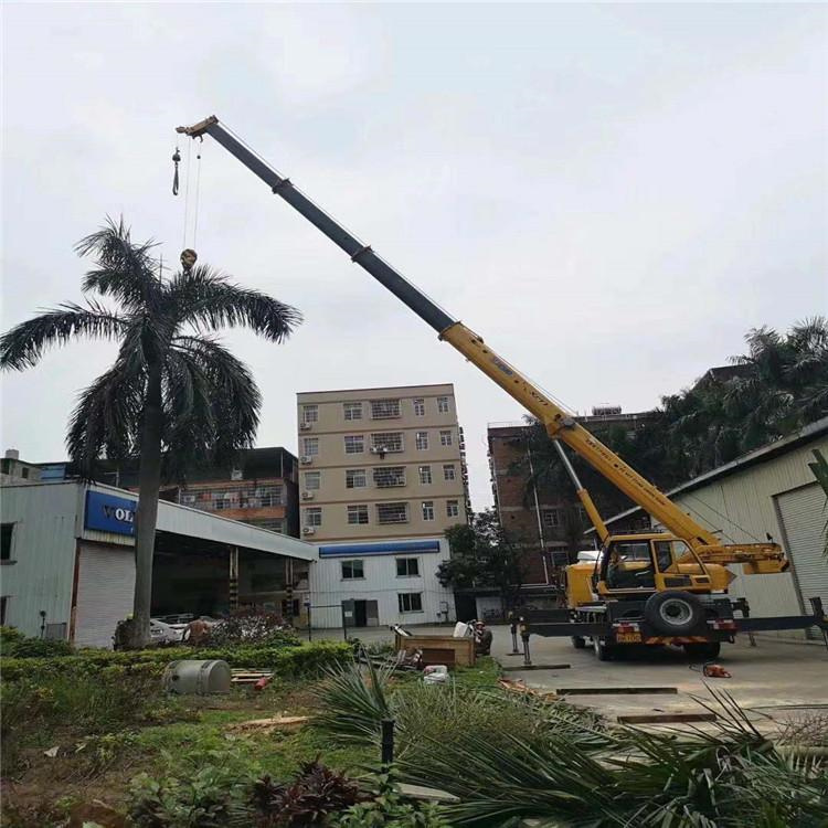 博罗汽车吊出租多少钱？全面解析与市场行情